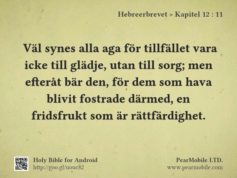 Hebreerbrevet, Kapitel 12:11